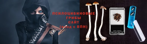 тгк Абдулино