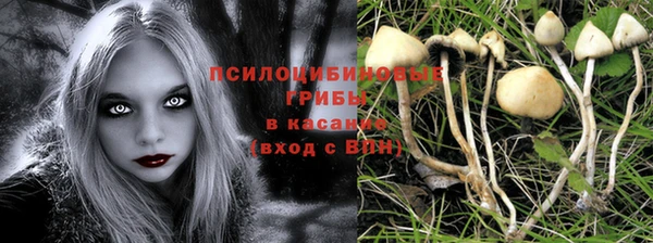 тгк Абдулино