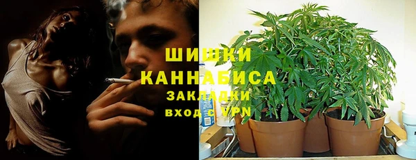 PSILOCYBIN Абаза