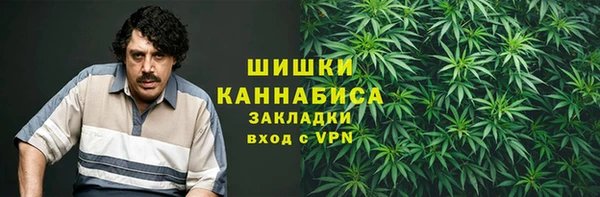 PSILOCYBIN Россошь