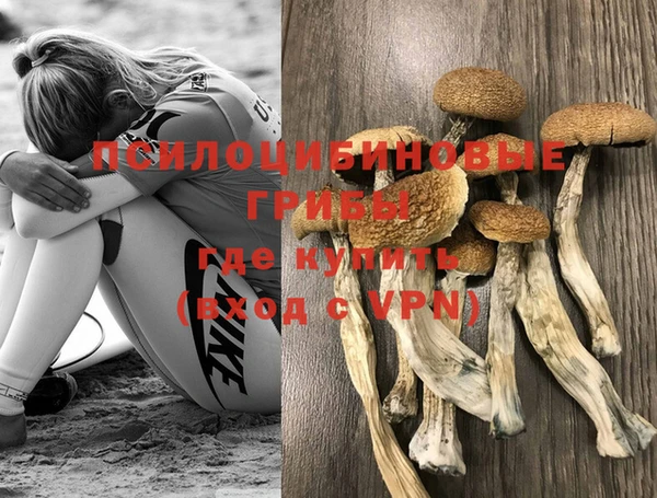 мяу мяу мука Абинск