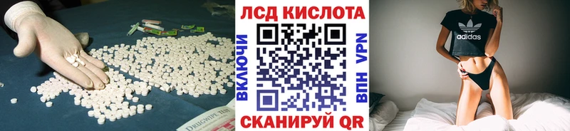 KRAKEN tor  Магадан  ЛСД экстази ecstasy 