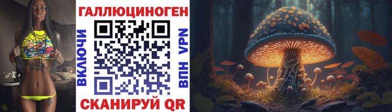 Псилоцибиновые грибы Psilocybe  купить наркотик  Магадан 