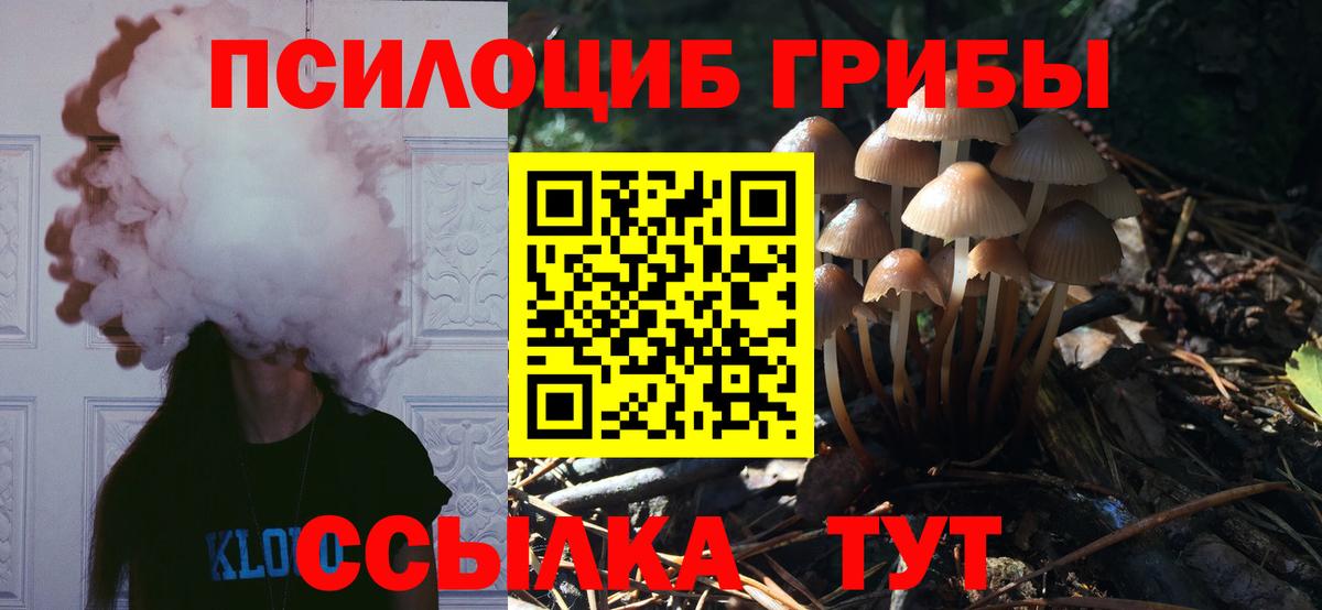 Галлюциногенные грибы прущие грибы Магадан
