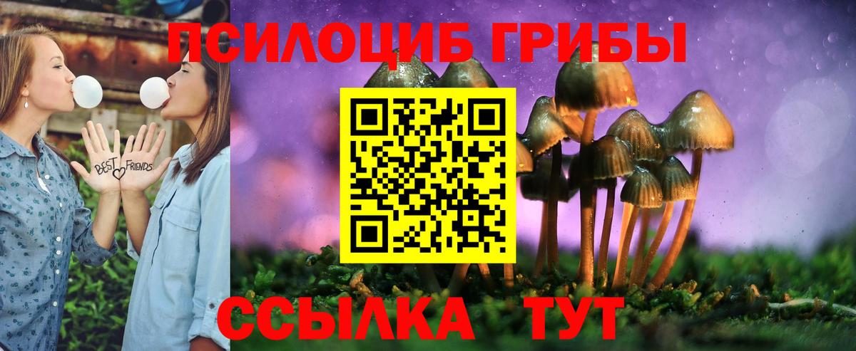 Галлюциногенные грибы мицелий  Вход с VPN  Магадан 